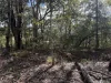 66 Hacking Ridge Road, Russell Island, Qld 4184