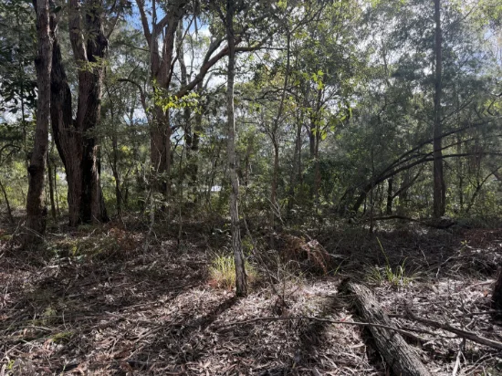 66 Hacking Ridge Road, Russell Island, Qld 4184