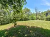 66 Hexham Street, Tarragindi, Qld 4121-Image