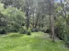 66 Hexham Street, Tarragindi, Qld 4121-Image