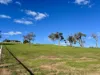 66 Overheu Drive, Kalgan, WA 6330-Image