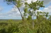 660 Miles Road, Batchelor, NT 0845