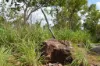660 Miles Road, Batchelor, NT 0845-Image