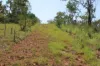 660 Miles Road, Batchelor, NT 0845-Image