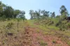 660 Miles Road, Batchelor, NT 0845-Image