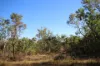 660 Miles Road, Batchelor, NT 0845-Image