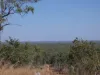 660 Miles Road, Batchelor, NT 0845-Image