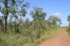 660 Miles Road, Batchelor, NT 0845-Image