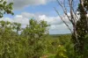 660 Miles Road, Batchelor, NT 0845-Image