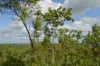 660 Miles Road, Batchelor, NT 0845-Image