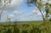 660 Miles Road, Batchelor, NT 0845-Image