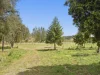 662 Pines Road, Kyogle, NSW 2474-Image