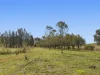 662 Pines Road, Kyogle, NSW 2474-Image