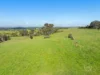67 Chapel Lane, Doreen, Vic 3754-Image