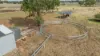 67 Chinatown Lane, Walla Walla, NSW 2659-Image