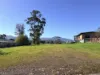 67 Main Street, Zeehan, Tas 7469