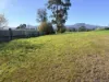 67 Main Street, Zeehan, Tas 7469-Image