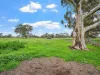 67 Recreation Road, Dunkeld, Vic 3294-Image