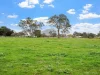 67 Recreation Road, Dunkeld, Vic 3294-Image