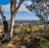 678 Sheldricks Lane, Manton, NSW 2582-Image