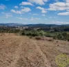 678 Sheldricks Lane, Manton, NSW 2582-Image
