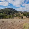 678 Sheldricks Lane, Manton, NSW 2582-Image