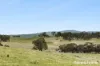679 Dallistons Road, Barfold, Vic 3444-Image