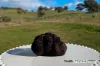 679 Dallistons Road, Barfold, Vic 3444-Image