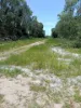 680 Bluff Road, Bilyana, Qld 4854-Image
