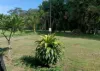 680 Bluff Road, Bilyana, Qld 4854-Image