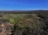 6803 Calder Highway, Wedderburn, Vic 3518-Image