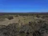 6803 Calder Highway, Wedderburn, Vic 3518-Image