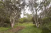 687 Eden Road, Nullaki, WA 6330-Image
