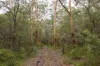 687 Eden Road, Nullaki, WA 6330-Image