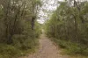 687 Eden Road, Nullaki, WA 6330-Image