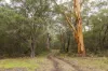 687 Eden Road, Nullaki, WA 6330-Image
