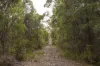 687 Eden Road, Nullaki, WA 6330-Image
