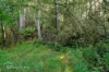 6875 Huon Highway, Dover, Tas 7117-Image