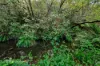 6875 Huon Highway, Dover, Tas 7117-Image