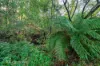 6875 Huon Highway, Dover, Tas 7117-Image