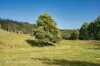 6875 Huon Highway, Dover, Tas 7117-Image