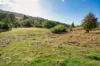 6875 Huon Highway, Dover, Tas 7117-Image