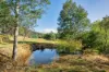 6875 Huon Highway, Dover, Tas 7117-Image