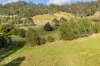 6875 Huon Highway, Dover, Tas 7117-Image