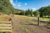 6875 Huon Highway, Dover, Tas 7117-Image