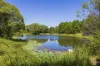 69 Andersons Road, Duranbah, NSW 2487-Image