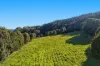 69 Andersons Road, Duranbah, NSW 2487-Image