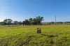69 Peppertree Hill Road, Longford, Vic 3851-Image