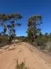 699 Cypress Drive, Mudgee, NSW 2850