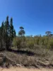 699 Cypress Drive, Mudgee, NSW 2850-Image